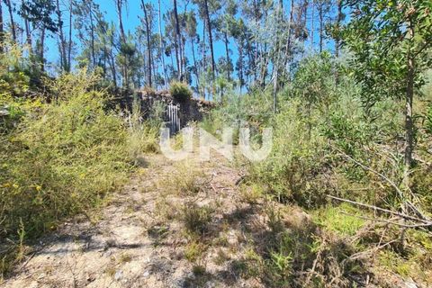 Helårsgrund i Viseu, Viseu, Viseu - € 88.000 | Ref: UNU.I.1556.15002 - foto 4