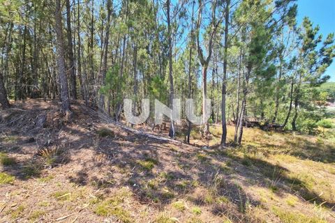 Helårsgrund i Viseu, Viseu, Viseu - € 88.000 | Ref: UNU.I.1556.15002 - foto 10