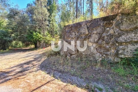 Helårsgrund i Viseu, Viseu, Viseu - € 110.000 | Ref: UNU.I.1555.15002 - foto 2