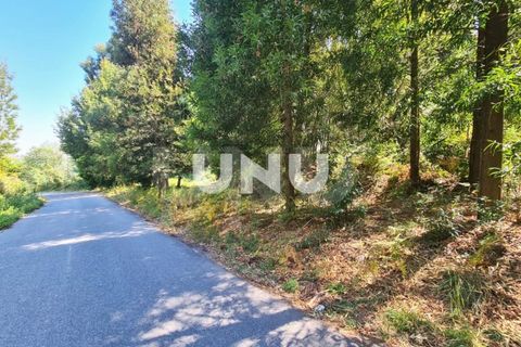 Helårsgrund i Viseu, Viseu, Viseu - € 110.000 | Ref: UNU.I.1555.15002 - foto 4