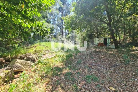 Helårsgrund i Viseu, Viseu, Viseu - € 110.000 | Ref: UNU.I.1555.15002 - foto 5