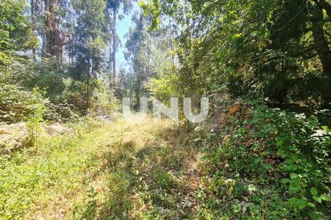 Helårsgrund i Viseu, Viseu, Viseu - € 110.000 | Ref: UNU.I.1555.15002 - foto 6