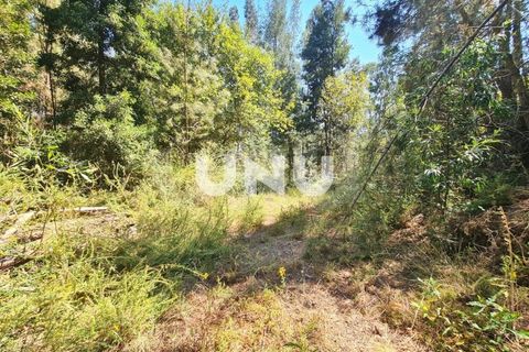 Helårsgrund i Viseu, Viseu, Viseu - € 110.000 | Ref: UNU.I.1555.15002 - foto 7