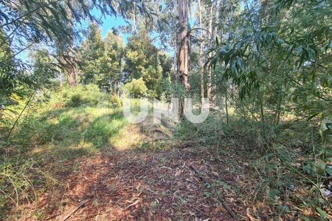 Helårsgrund i Viseu, Viseu, Viseu - € 110.000 | Ref: UNU.I.1555.15002 - foto 8