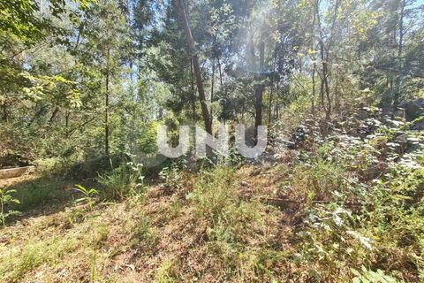 Helårsgrund i Viseu, Viseu, Viseu - € 110.000 | Ref: UNU.I.1555.15002 - foto 9