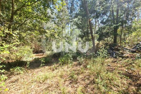 Helårsgrund i Viseu, Viseu, Viseu - € 110.000 | Ref: UNU.I.1555.15002 - foto 10