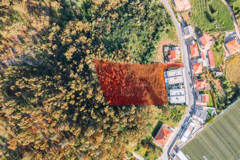 Terra a Fafe, Braga, Fafe - € 97.000 | Ref: 002-282 - foto 2