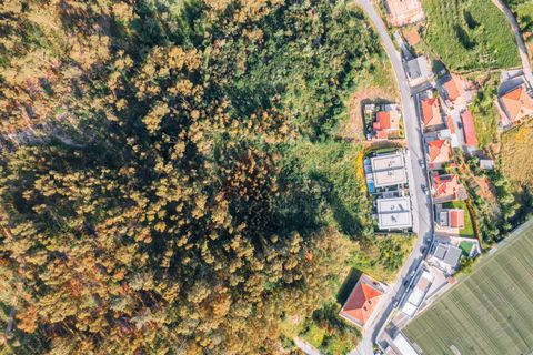 Terra a Fafe, Braga, Fafe - € 97.000 | Ref: 002-282 - foto 3