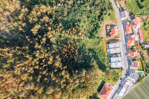 Terra a Fafe, Braga, Fafe - € 97.000 | Ref: 002-282 - foto 4