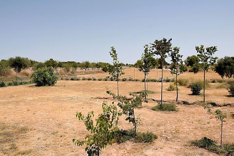 Villa i Onil, Alicante, Onil - € 449.000 | Ref: SE7216 - foto 15