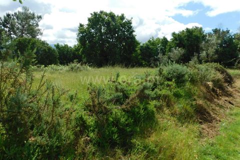 Tomt i Seia, Guarda, Seia - € 20 000 | Ref: 382240068 - foto 3