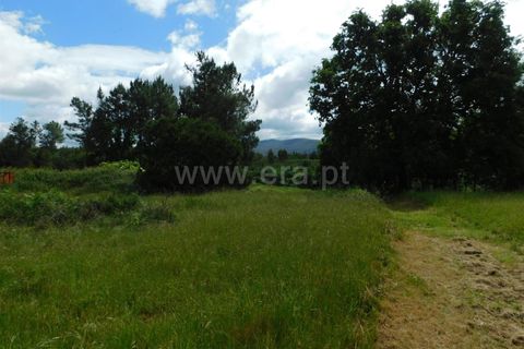 Tomt i Seia, Guarda, Seia - € 20 000 | Ref: 382240068 - foto 4