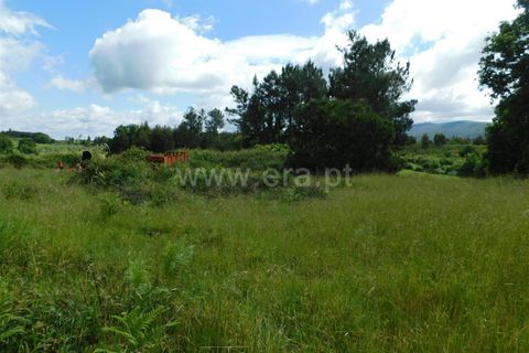 Tomt i Seia, Guarda, Seia - € 20 000 | Ref: 382240068 - foto 5