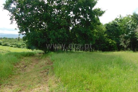 Tomt i Seia, Guarda, Seia - € 20 000 | Ref: 382240068 - foto 6