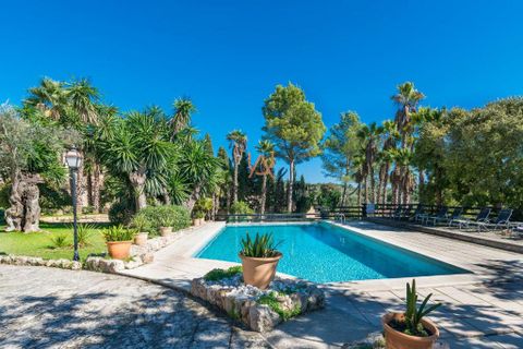 Erhvervsejendom i Sencelles, Mallorca, Sencelles - € 6.900.000 | Ref: UA154 - foto 4