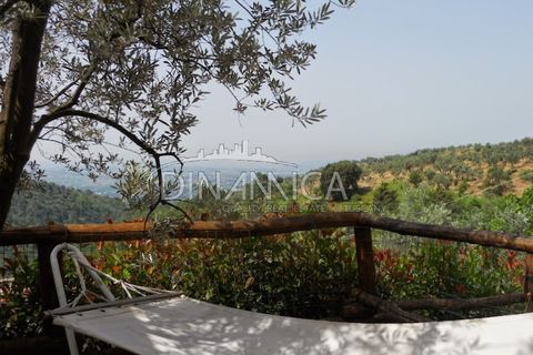 Farm hus i Lamporecchio, Pistoia, Lamporecchio - € 550.000 | Ref: 1003-231C - foto 5