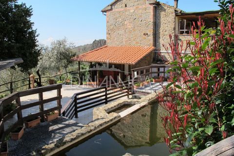 Farm hus i Lamporecchio, Pistoia, Lamporecchio - € 550.000 | Ref: 1003-231C - foto 7