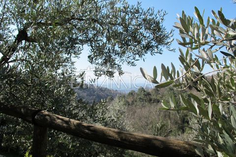 Farm hus i Lamporecchio, Pistoia, Lamporecchio - € 550.000 | Ref: 1003-231C - foto 14