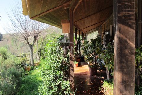 Farm hus i Lamporecchio, Pistoia, Lamporecchio - € 550.000 | Ref: 1003-231C - foto 16