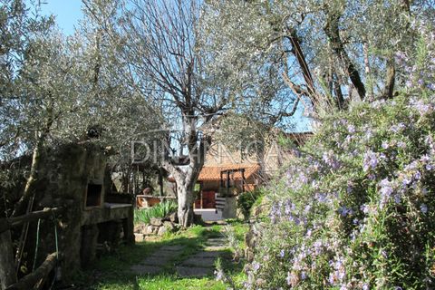 Farm hus i Lamporecchio, Pistoia, Lamporecchio - € 550.000 | Ref: 1003-231C - foto 18