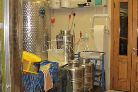 Farm hus i Lamporecchio, Pistoia, Lamporecchio - € 550.000 | Ref: 1003-231C - foto 26