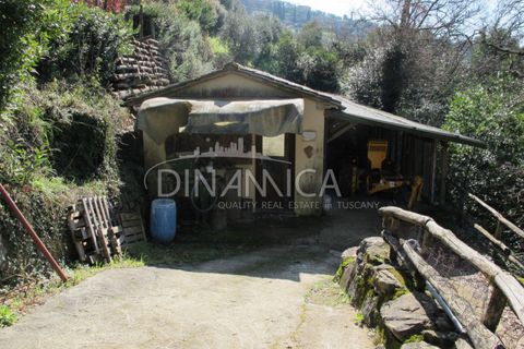 Farm hus i Lamporecchio, Pistoia, Lamporecchio - € 550.000 | Ref: 1003-231C - foto 27