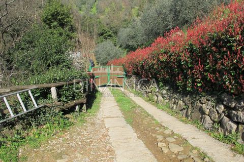 Farm hus i Lamporecchio, Pistoia, Lamporecchio - € 550.000 | Ref: 1003-231C - foto 28