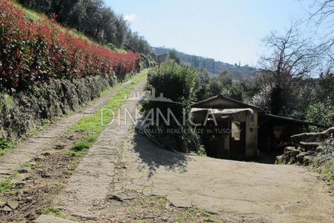 Farm hus i Lamporecchio, Pistoia, Lamporecchio - € 550.000 | Ref: 1003-231C - foto 30