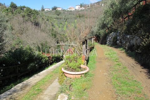Farm hus i Lamporecchio, Pistoia, Lamporecchio - € 550.000 | Ref: 1003-231C - foto 31