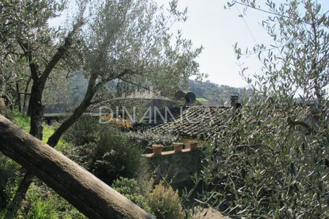 Farm hus i Lamporecchio, Pistoia, Lamporecchio - € 550.000 | Ref: 1003-231C - foto 32