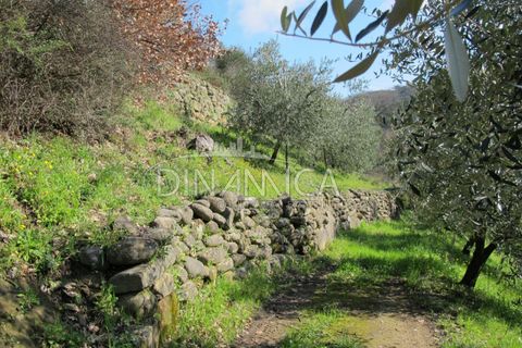Farm hus i Lamporecchio, Pistoia, Lamporecchio - € 550.000 | Ref: 1003-231C - foto 34