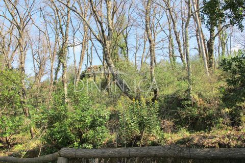Farm hus i Lamporecchio, Pistoia, Lamporecchio - € 550.000 | Ref: 1003-231C - foto 36