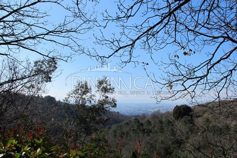 Farm hus i Lamporecchio, Pistoia, Lamporecchio - € 550.000 | Ref: 1003-231C - foto 37