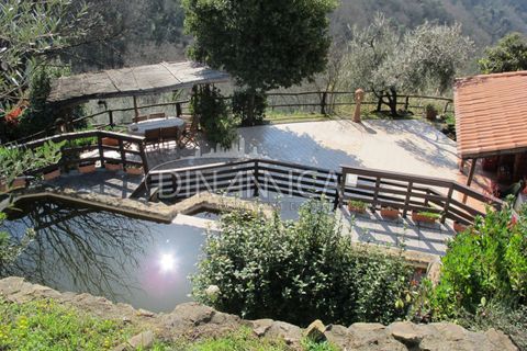 Farm hus i Lamporecchio, Pistoia, Lamporecchio - € 550.000 | Ref: 1003-231C - foto 38