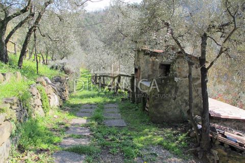Farm hus i Lamporecchio, Pistoia, Lamporecchio - € 550.000 | Ref: 1003-231C - foto 39
