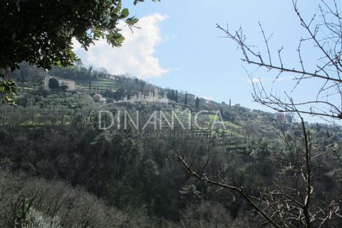 Farm hus i Lamporecchio, Pistoia, Lamporecchio - € 550.000 | Ref: 1003-231C - foto 40