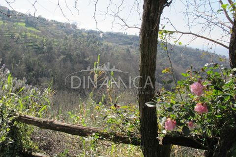 Farm hus i Lamporecchio, Pistoia, Lamporecchio - € 550.000 | Ref: 1003-231C - foto 42