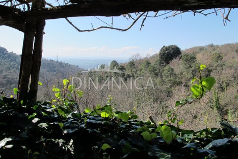 Farm hus i Lamporecchio, Pistoia, Lamporecchio - € 550.000 | Ref: 1003-231C - foto 44