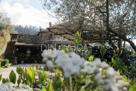 Farm hus i Lamporecchio, Pistoia, Lamporecchio - € 550.000 | Ref: 1003-231C - foto 47