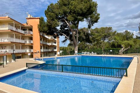 Leilighet i Santa Ponsa, Mallorca, Santa Ponsa - € 450 000 | Ref: 79401 - foto 10