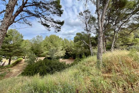 Leilighet i Santa Ponsa, Mallorca, Santa Ponsa - € 450 000 | Ref: 79401 - foto 13