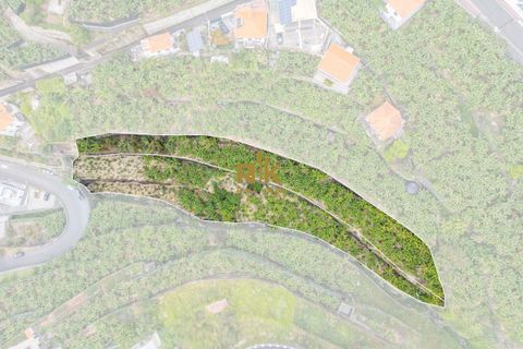 Helårsgrund i Ponta do Sol, Madeira, Ponta do Sol - € 280.000 | Ref: RK11385 - foto 13