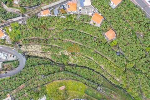 Helårsgrund i Ponta do Sol, Madeira, Ponta do Sol - € 280.000 | Ref: RK11385 - foto 2