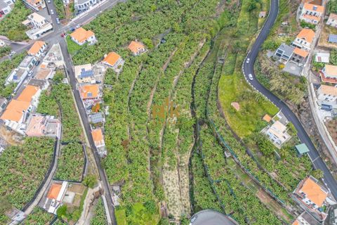 Helårsgrund i Ponta do Sol, Madeira, Ponta do Sol - € 280.000 | Ref: RK11385 - foto 4