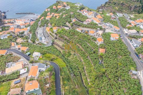 Helårsgrund i Ponta do Sol, Madeira, Ponta do Sol - € 280.000 | Ref: RK11385 - foto 6