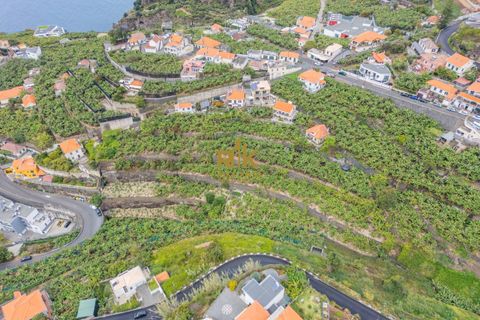 Helårsgrund i Ponta do Sol, Madeira, Ponta do Sol - € 280.000 | Ref: RK11385 - foto 8