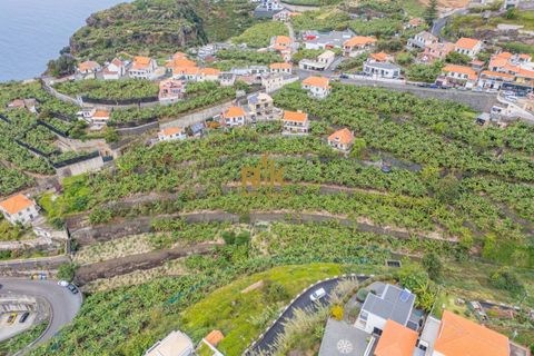 Helårsgrund i Ponta do Sol, Madeira, Ponta do Sol - € 280.000 | Ref: RK11385 - foto 9