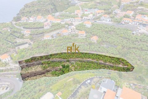 Helårsgrund i Ponta do Sol, Madeira, Ponta do Sol - € 280.000 | Ref: RK11385 - foto 10