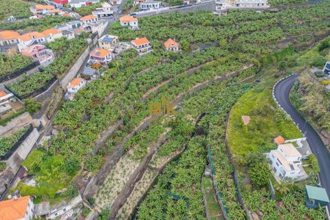 Helårsgrund i Ponta do Sol, Madeira, Ponta do Sol - € 280.000 | Ref: RK11385 - foto 11