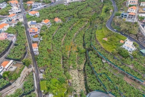 Helårsgrund i Ponta do Sol, Madeira, Ponta do Sol - € 280.000 | Ref: RK11385 - foto 12